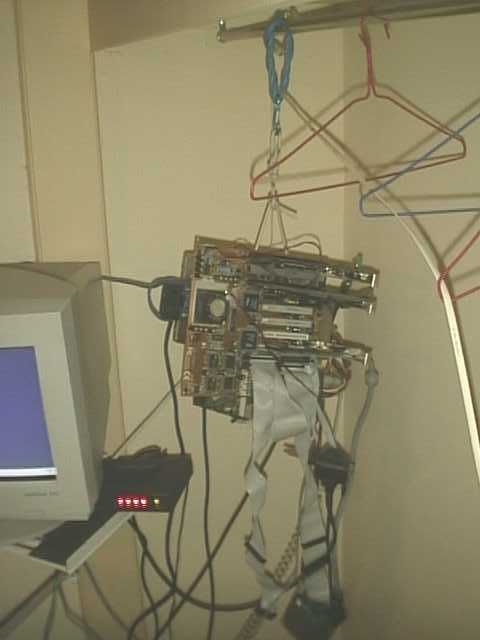 Funny picture of the day